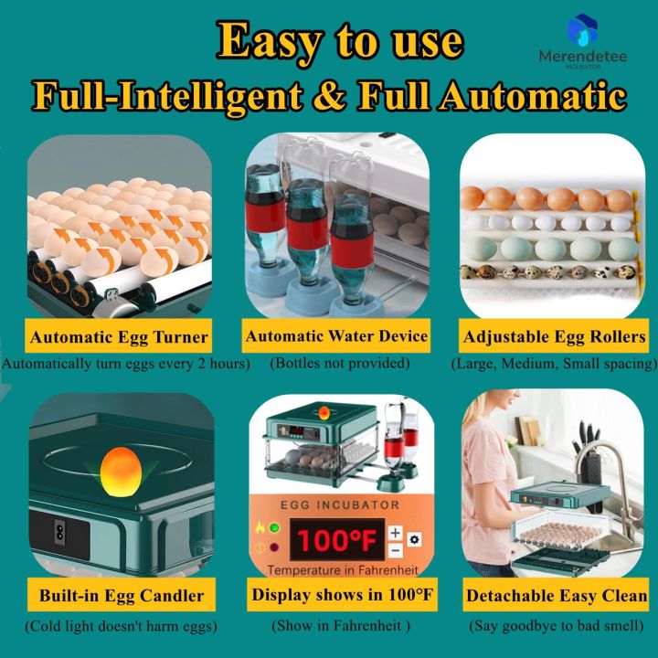 15%20Eggs%20Weiqian%20Intelligent%20Incubator%20Dual%20Power%20Supply%20AC%20/%20DC%20-%20Image%203