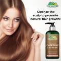 Chiltanpure Caffeine Shampoo revitalizes dry, dull, and brittle hair by deep cleansing. 
