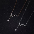 Simple Exquisite Clavicle Chain Jewelry Gift Light Luxury Necklace Trendy Necklace Beidou Star Necklace. 