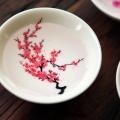 Japanese Magic Sakura Cup Cold Temperature Color Changing Flower display Sake Cup Ceramic Kung fu Tea Cup Tea Bowl. 
