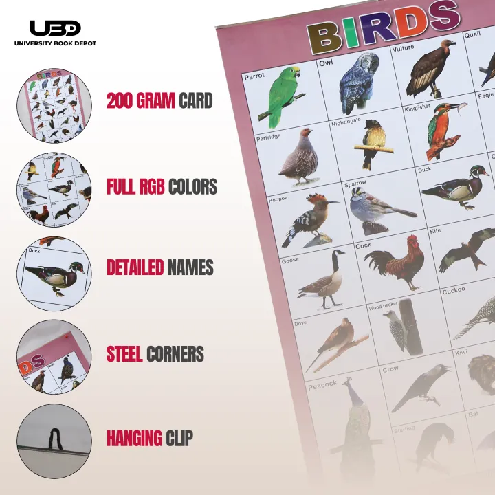 Pack%20of%204%20Wall%20Charts%20for%20Classrooms%20and%20Preschool%20Decoration%20%7C%20Wall%20Posters%20For%20Kids%20Early%20Education%20with%20HD%20Pictures%20on%20200%20grams%20Laminated%20Card%2020*30%20inches%20-%20Image%203