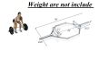 Olympic Hex Bar with Two-Handle Options for Squats, Deadlifts, Shrugs and Power Pulls, 58 Inch Bar with 9-Inch Sleeve, Silver. 