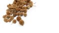 GUL MANDI WHOLE|DRY|50:GRAM|GUL-E-MUNDI|Gorakh Mundi - Sphaeranthus Indicus - East Indian Globe Thistle. 