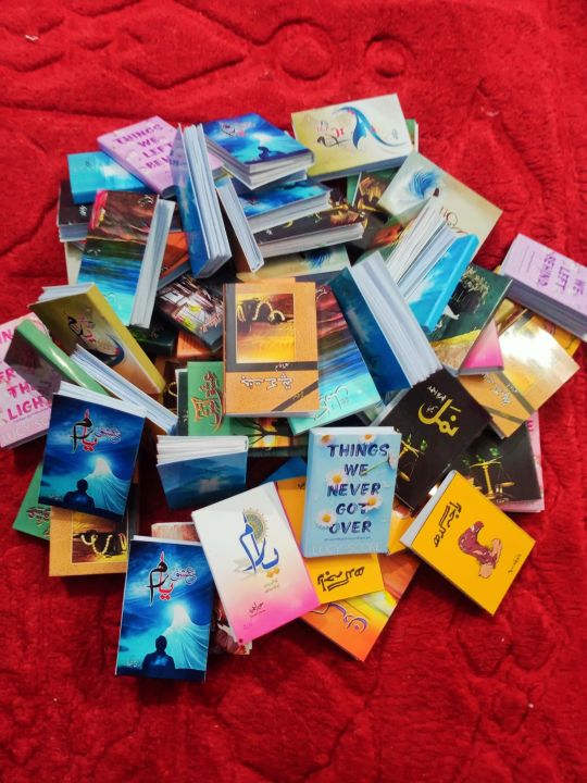 10 Mini Urdu/English Novels For Decoration(NOT READABLE)