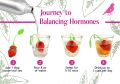 PCOS Spearmint Tea Hormone Balance 56g. 