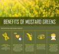 Mustard Seeds (Sarson) 100% Pure Seeds For Kitchen Gardening. 
