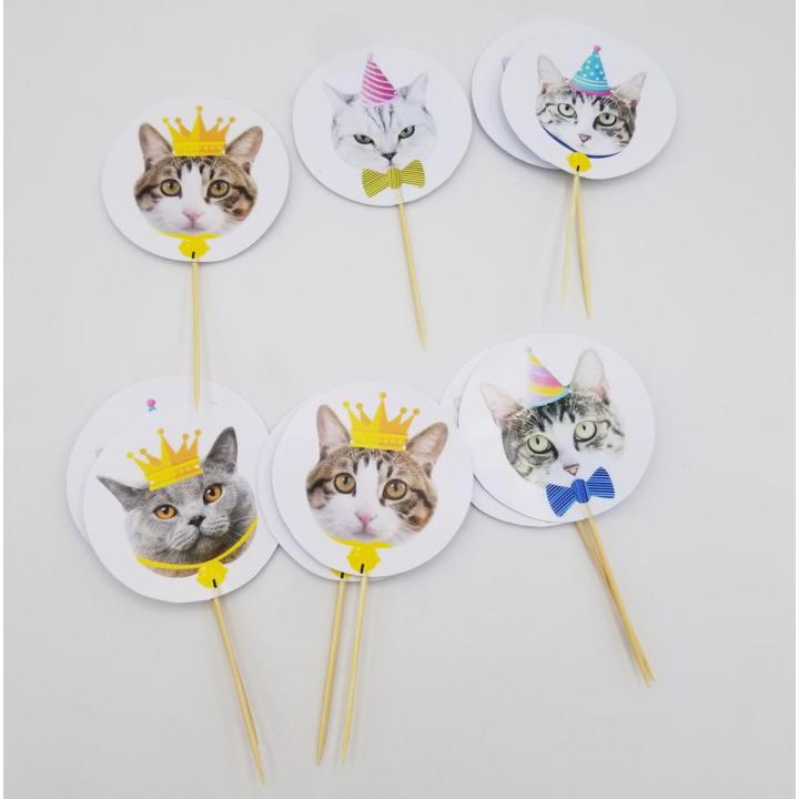 CAT THEME CUPCAKE TOPPERS PACK OF 10 CUPCAKE TOPPERS
