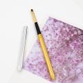 black-Gold Silver Metal Handle Lip Gloss Makeup Brush Portable Retractable Adjustable Lipstick Brush With Protect Cosmetic Tool. 