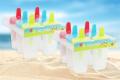 Ice Box Fridge Frozen Treats Freezer Ice Cream Tools Ice Lolly Cream Maker Form DIY Pop Pops Mould Popsicle Molds Yogurt -6 Pcs. 