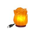 Salt Lamps USB. 