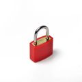 【COOL】 23mm Coloured Dormitory Appliances Travel Supplies Cabinet Door Bookbag Small Luggage Lock Suitcase Padlock with 2 Keys. 