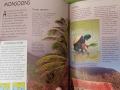 The Usborne Encyclopedia of Planet Earth. 