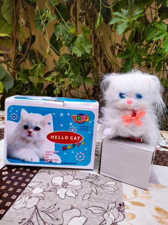 Kids Hello Cat Light, Walk, Sit Cute Cat Toy For Kids