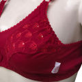 Classic Cotton Fashion Bras for Women and Non wired Brassiere For Summer with Chikan Embroidery. 