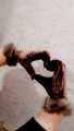 Women's Girl's  Black Winter Velvet Gloves With Frr Cuff On Wrist. 