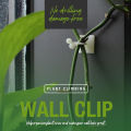 Plant Organize Clip High Stability Garden Support Binding Vine Wall Hook. 