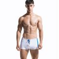 2018 DESMIIT Mens quick dry swim boxers men swimming trunks Swim Suits Breathable men swimwear Beach Short. 