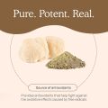 Real Mushrooms Lion’s Mane Powder 60 Servings 60gm. 