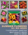50+ Summer Spring Season Mix Varieties Flower Seeds. 