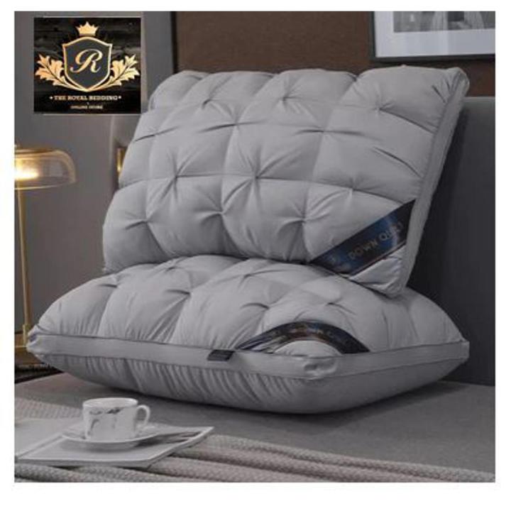 Pillow Decorative Bed Pillow Sleeping Pillow Ball Fiber Filled Pillow  Pintuck design Bed Pillow Size 19x29  PACK OF 2