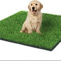 Artificial grass mat washable for bird parrot cat dog cage house floor mat for winter season playing area kids mat 3ft x 2ft. 