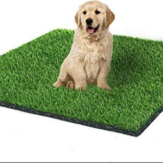 Artificial grass mat washable for bird parrot cat dog cage house floor mat for winter season playing area kids mat 3ft x 2ft