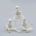 Dollhouse Miniature Shelf Decor 8.7cm Skeleton Doll Mini Action Figures Toy. 