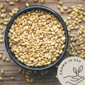 Be Still Farms Organic Hulled Barley Grain  - Whole Barley Groat Seed Bulk - Great for Soup, Flour, Cereal, Home Brewing, Grinding - High in Fibe 1 kg. 