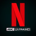 Netflix 30 TL Gift Card. 
