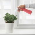 IKEA Spray Bottle, Orange-Pink, 35 cl (12 oz). 
