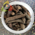 Spices.pk Pipli / Long Pepper / Maggaan / Filfil / Thippali / Pippli Mirch wt.50gm. 