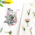 40pcs PET Aesthetics Butterfly Daisy Angel Bear Journal Stationery Supplies Scrapbooking Background Decoration Stickers. 