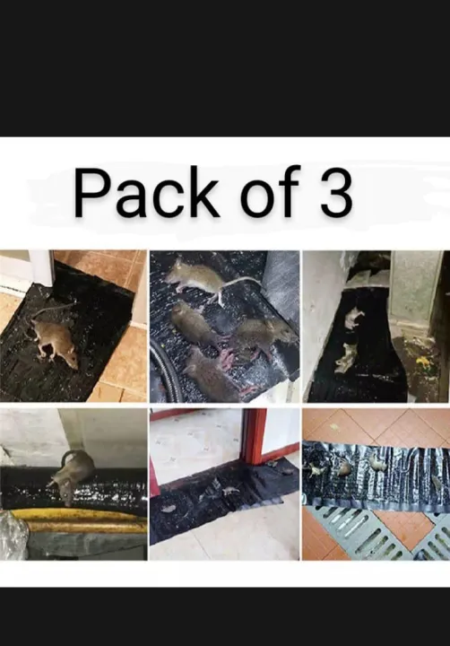 Mouse%20Trap%20Board%20-%20Mouse%20Carpet%20-%20Long%20Glue%20Sheet%20For%20Mice%20-%20Mouse%20Glue%20Trap%20-%20Mouse%20Glue%20Board%20-%20Rat%20Killer%20Trap%20-%20Rat%20Killer%20Glue%20Book%20-%20Rat%20Killer%20Glue%20-%20Heavy%20Glue%20Sheet%20For%20Mouse%20-%20Image%205
