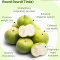 Apple Gourd/Round Gourd Seeds  (Tindon Ke Beej)(ٹینڈوں کا بیج)Desi/Germinated/Best Quality/Fast growing/Excellent Germination/High Quality/Healthy Vegetable Seeds/Vegetable/Home/Kitchen/Gardening seeds/beej/Vegetables Seeds Packet. 