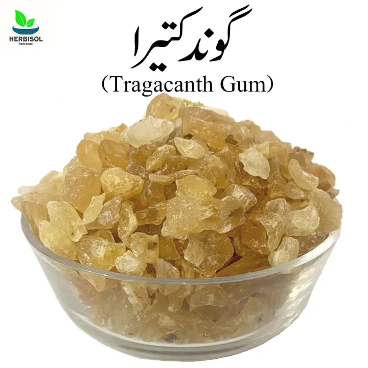Goond%20Kateera%20100gm%20%DA%AF%D9%88%D9%86%D8%AF%20%DA%A9%D8%AA%DB%8C%D8%B1%D8%A7%20-%20Tragacanth%20Gum%20Imported%20-%20Gond%20Katira%20/%20Gund%20Katera%20100%20grams%20by%20Herbisol%20-%20Image%202
