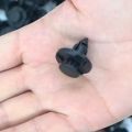 200PCS 8mm Liner Clips for Trim 01553-09321. 