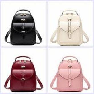 Pair of Fashionable Bags