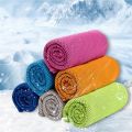 Sports Quick-Drying Cooling Towel Swimming Gym Travel Cycling Summer Cold Feeling Sport Towels Take Carry. 