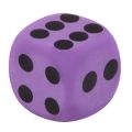 Specialty Giant EVA Foam Playing Dice Block Party Toy Game Prize for Children. 