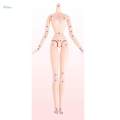 1/6 Scale Flexible BJD 26 Jointed Girl Doll Body with Gray. 