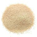 badgePoppy Seeds (Khaskhas) - 500 grams badgePoppy Seeds (Khaskhas) - 500 grams badgePoppy Seeds (Khaskhas) - 500 grams. 