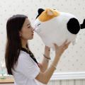 30cm Kawaii Fat Cat Plush Toys Bread Blessing Big Face Cat Stuffed Cute Animal Birthday Gift For Children Kids Toys. 