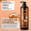 Lichen Coconut Oil Shampoo, Sulfate Free, Paraben Free, Silicone Free, Color Safe, and Vegan Hair Shampoo- 1000ML. 