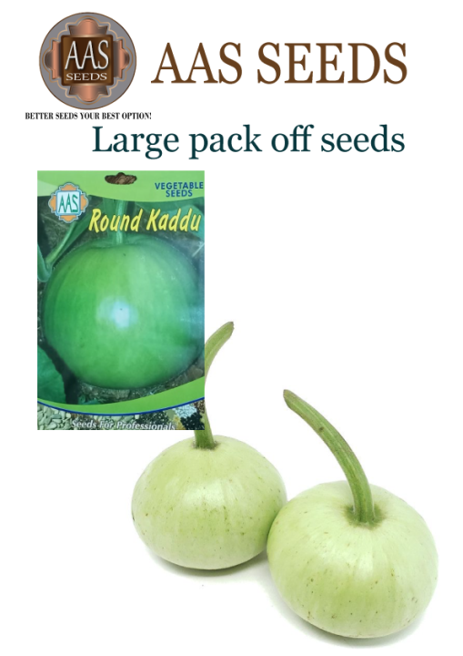 Seeds%20vegetable%20Bottle%20gourd%20round%20(kaduu%20gool%20)%20summer%20vegetable%20seeds%20-%20Image%204