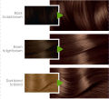 Garnier Color Naturals - 5 1/2 Creamy Coffee Hair Color. 