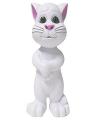 Intelligent Talking Tom Cat. 