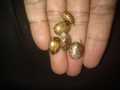 10 Castor oil seeds 100percent germinate for grow caster plant Eranda ( Ricinus communis ), oiling experimentation decoration castor beans garand tree use for many purpose. 