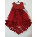 Beautiful Imported Long Back Tail Style Fancy Frocks for Girls. 