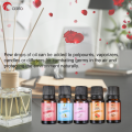 CERTO Home Water Soluble Fragrance Essential Oil 10ML for Diffuser Air Purifier Humidifier Aromatherapy DIY Candle Soap Fragrance Perfume Home Air Refresher Minyak Esensial Pati Aromaterapi Wangi Pewangi Rumah Bilik香薰精油. 