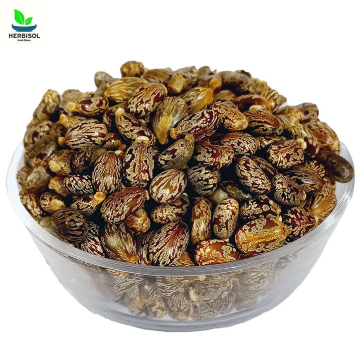 Arind%201KG%20%D8%A7%D8%B1%D9%86%DA%88%20-%20Castor%20-%20Arandi%20Ke%20Bheej%20/%20Castor%20Beans%201000%20grams%20by%20Herbisol%20-%20Image%202